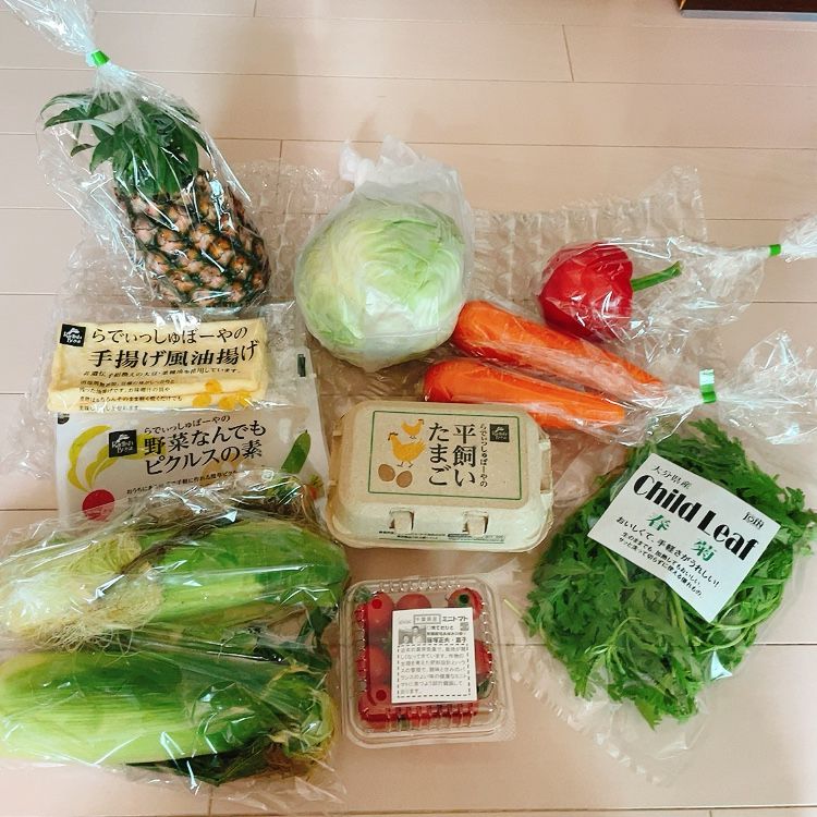 届いた野菜たち