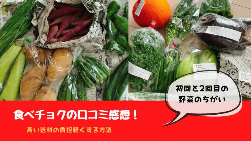 食べチョク「コンシェルジュ」の口コミや評判|送料無料の野菜セット！悪い口コミは本当？野菜の値段は高い？