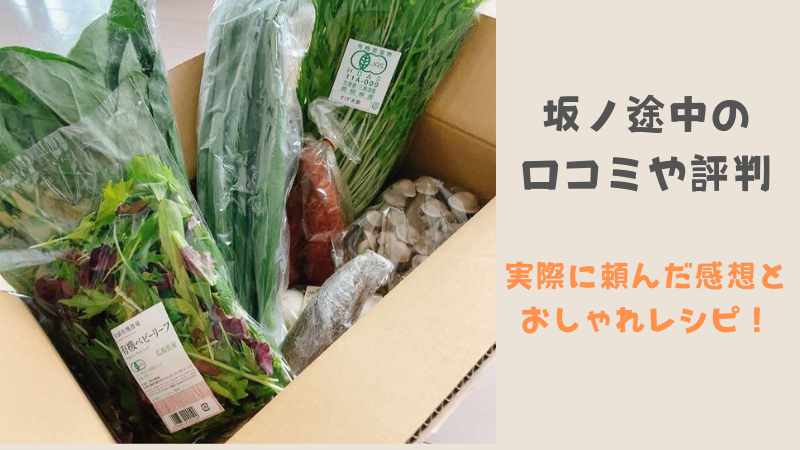 【坂ノ途中の口コミ評判】野菜セットを実際に頼んだ感想！有機野菜の味は？お試しセットはある？