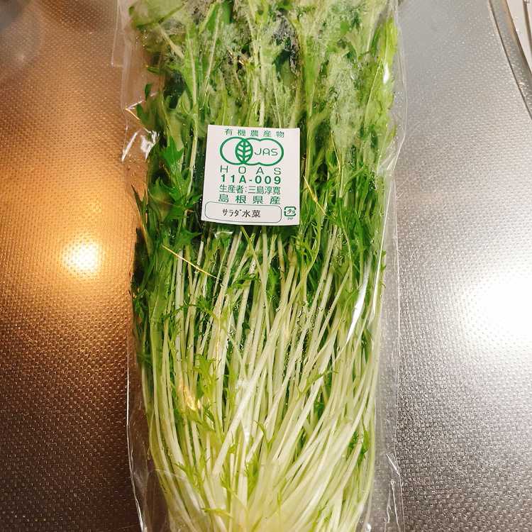 水菜