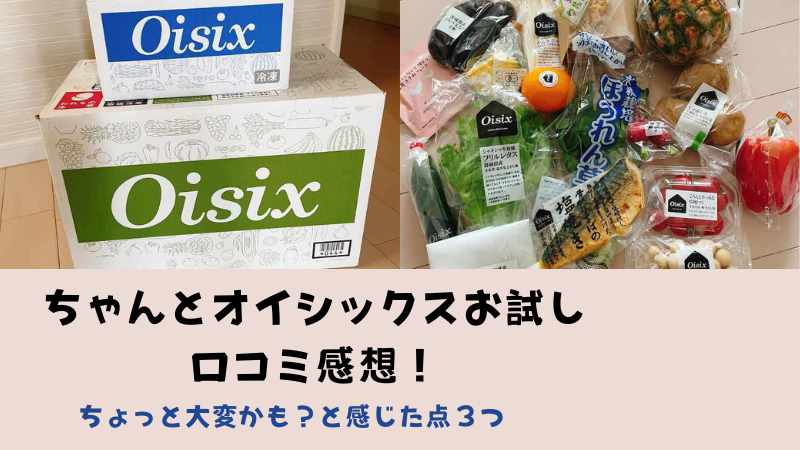 ちゃんとオイシックスお試しの口コミ感想|ちょっと大変かも？と感じた点３つ！実際に食べたレシピや値段