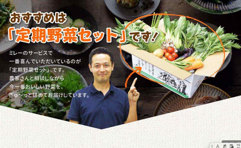 無農薬野菜ミレー